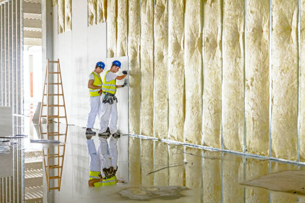 Best Insulation for Specific Applications in Leadville North, CO